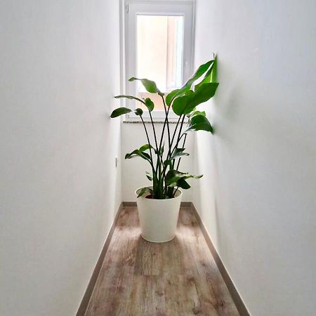 Ljubljana Central Cozy Apartment W Free Parking 外观 照片